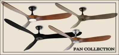 Ceiling Fans