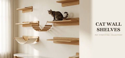 Cat Wall Shelves & Climbing