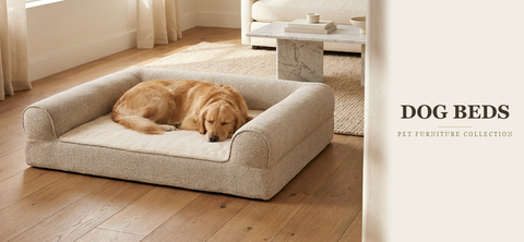 Designer & Orthopedic Dog Beds