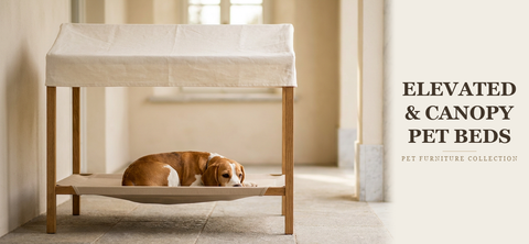 Elevated & Canopy Pet Beds