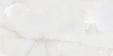 MLF MK Glossy Onyx Nimbus 24x48 Porcelain Tile