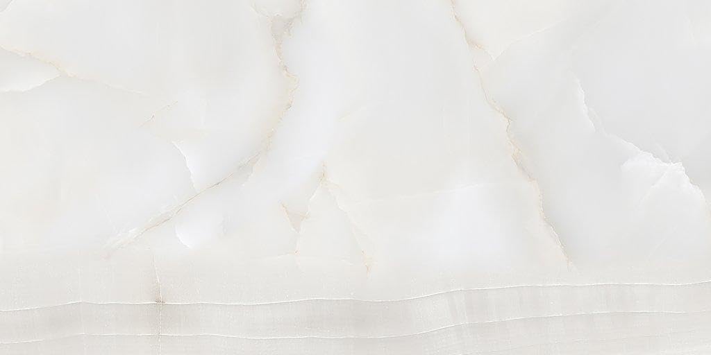 MLF MK Glossy Onyx Nimbus 24x48 Porcelain Tile