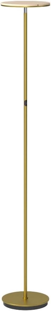 Sky Flux Dimmable LED Floor Lamp - Super Bright Floor Lamp with 3 Light Modes