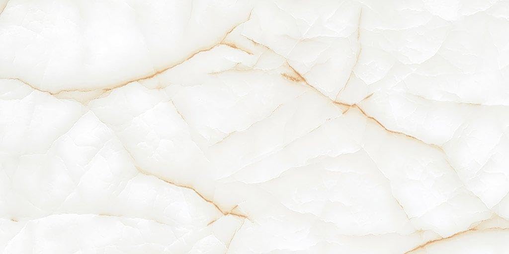 MLF MK Glossy Onyx Thunder 24x48 Porcelain Tile