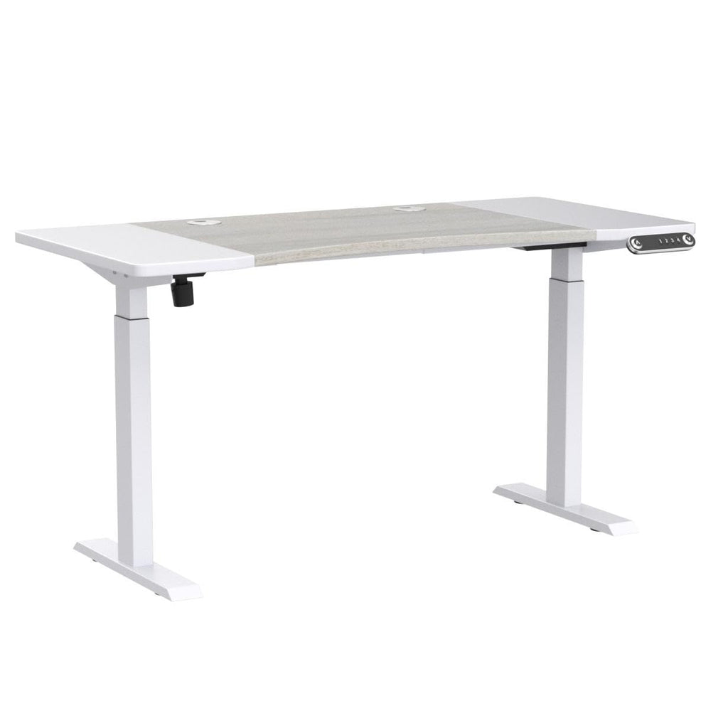 Dual Motor Height Adjustable Standing Desk, 63 x 30 Height Adjustable Computer Desk Sit Stand Desk Home Office Desks