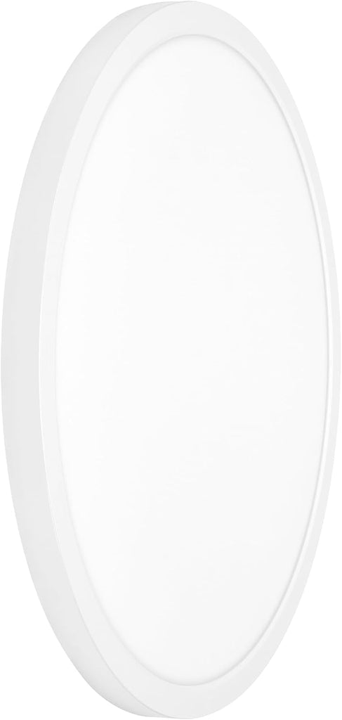 19" White LED Flush Mount Ceiling Light Fixture, 2500 Lumens, 5 CCT | , Round Color Selectable Panel Light, Dimmable
