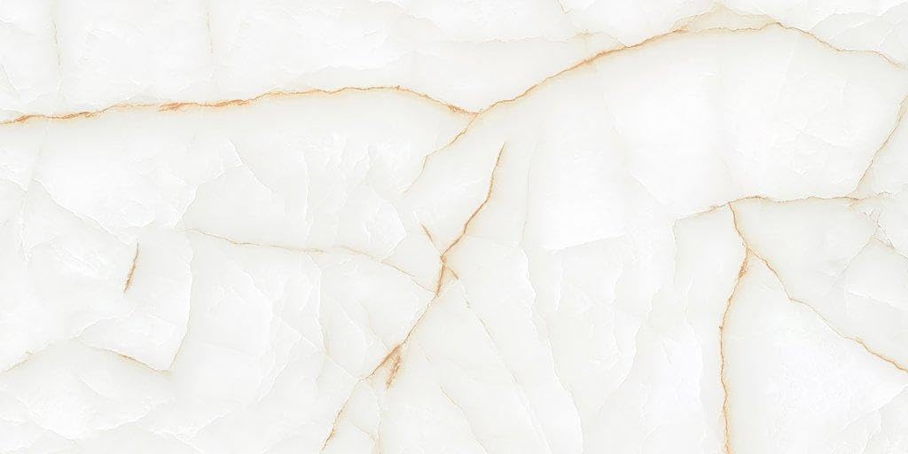 MLF MK Glossy Onyx Thunder 24x48 Porcelain Tile
