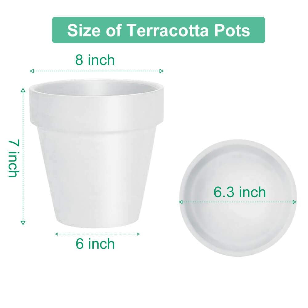 8 Inch White Terracotta & Clay Pots with Saucer, 2 Pack