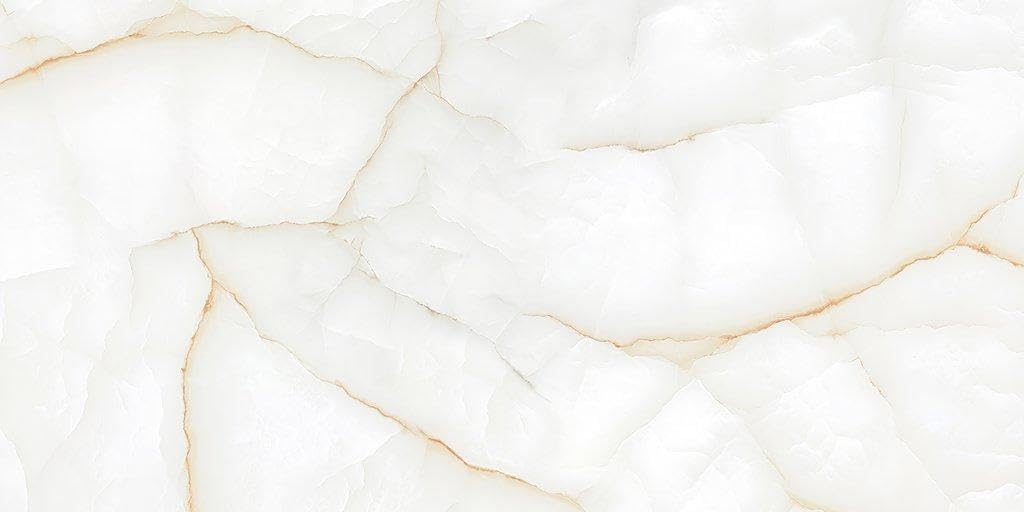 MLF MK Glossy Onyx Thunder 24x48 Porcelain Tile
