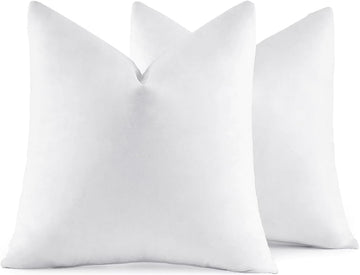 20x20 Pillow Inserts Feather Down Throw Pillows - Set of 2