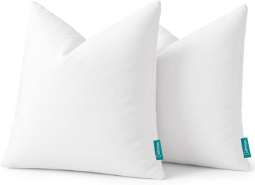Throw Pillow Inserts, 22x22 - Set of 2