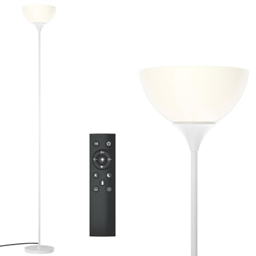 Floor Lamp, Remote Control, Stepless Brightness & Color Temperature