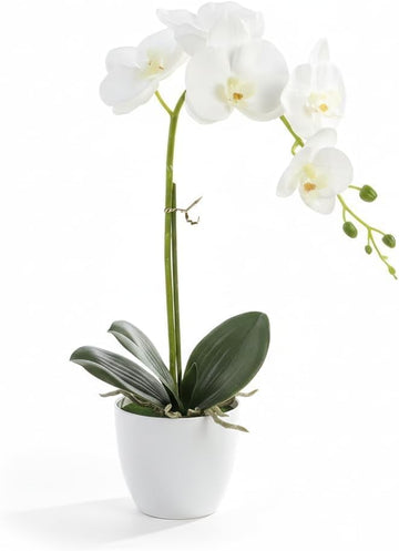 Artificial Orchid in Pot, 17-20" Real-Touch Faux Phalaenopsis, White