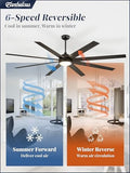 Fanbulous 80" Ceiling Fan with LED Light and Remote - Black