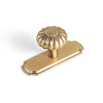 Set of 6 - Elegant Bloom Champagne Bronze Cabinet Knobs with Backplate, Drawer Pulls, Dresser Cabinet Hardware