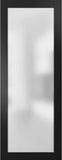 Slab Barn Door Panel Frosted Glass Lite | Planum 2102 Matte Black | Sturdy Finished Modern Doors | P