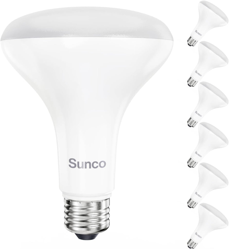 6 Pack BR30 LED Bulb, Recessed Can Light Bulbs, Indoor Flood Lighting, 1600 LM, 16W (100W Equivalent) 3000K Warm