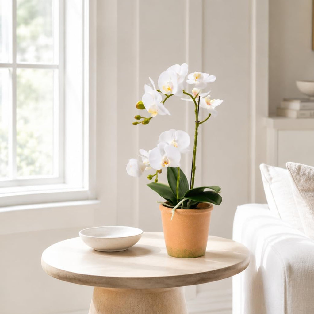 15-Inch Real Touch Artificial Phalaenopsis Orchid in Pot, White