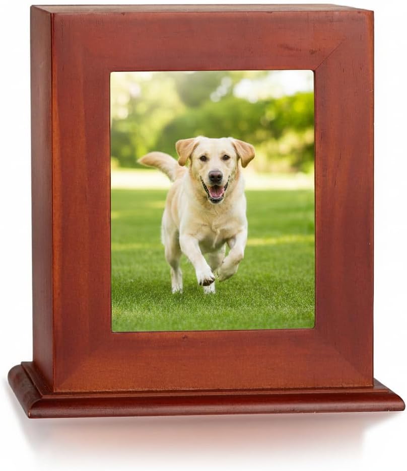 Pet Urn for Ashes with Photo Frame, Cremation Keepsake for Dogs