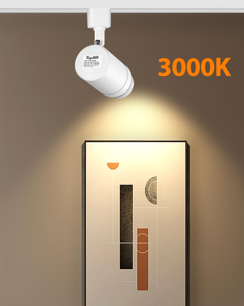 Zoomable 12-Light LED Track Lighting Kit, Dimmable 12W 3000K White