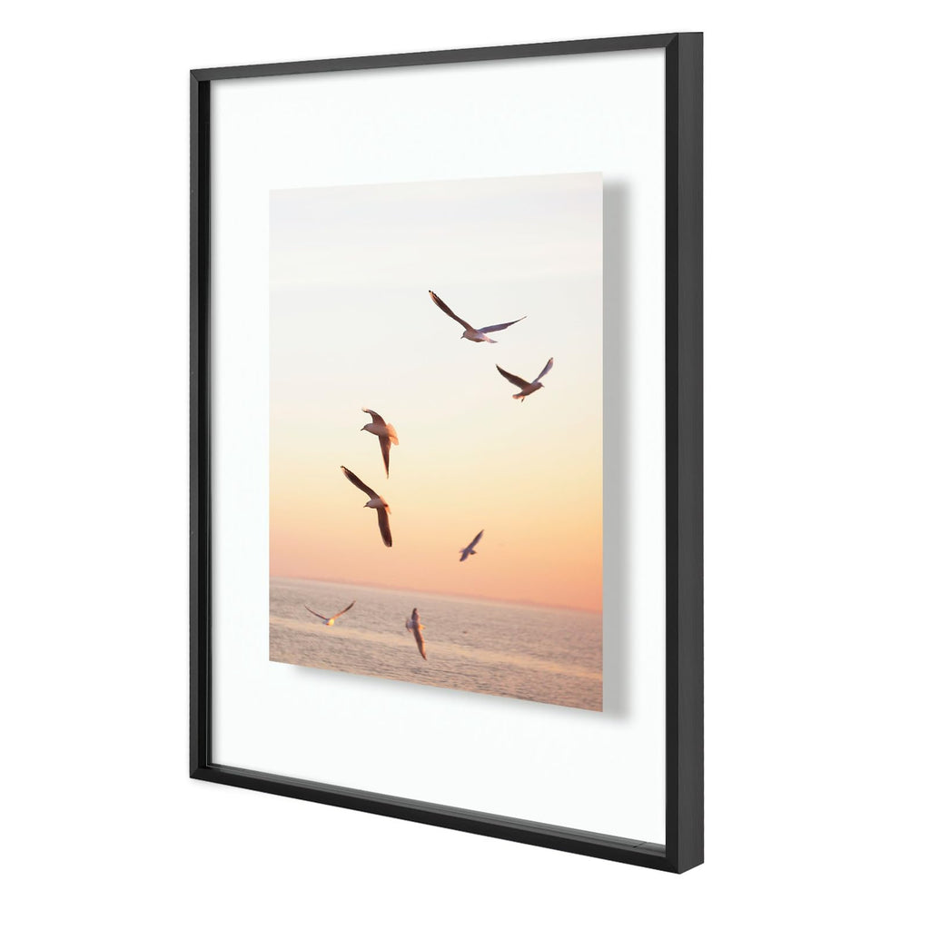 16x20 Black Aluminum Floating Picture Frame Real Glass