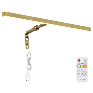 Brass Picture Lights for Paintings Plug in, 16" 4W Adjustable LED Gold Picture Light Art Light, Remote Control