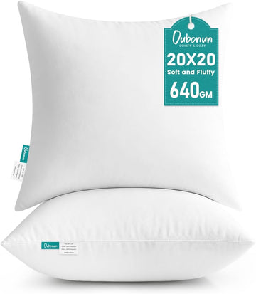 20 x 20 Throw Pillow Inserts - Set of 2
