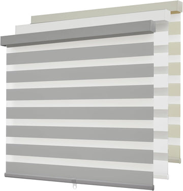 Cordless Zebra Blinds for Windows,Free-Stop Roller Zebra Shades,Light Filtering Blinds for Indoor windows with Upgraded Cassette,Pull Down Privacy Window Shades for Home (25" W x 72" H, Ivory)