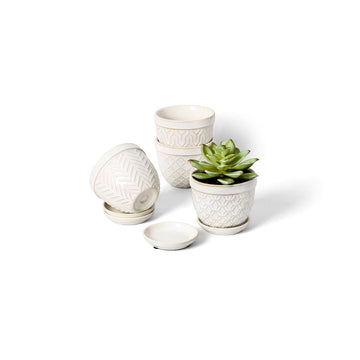 3.5" Embossed Ceramic Succulent Pots with Saucers and Mesh, Glazed White
