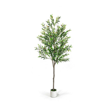6FT Artificial Olive Tree with White Planter - Faux Olive Tree Indoor Decor