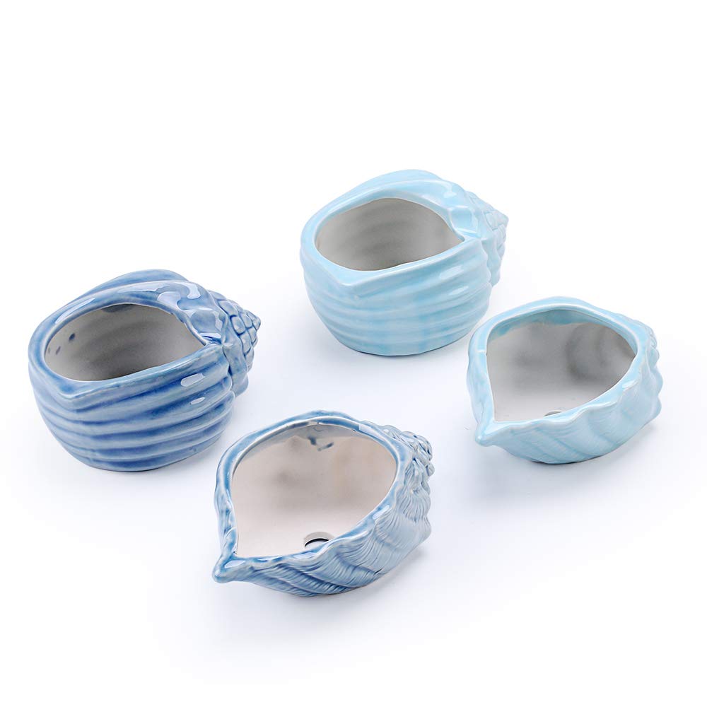 5.5" Conch Shell Succulent Pots, Ceramic Ocean Planters with Hole, 4 Pack