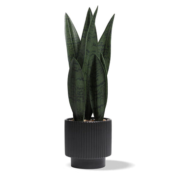 Artificial Plants Sansevieria Snake Plant with Black Ceramic Pot