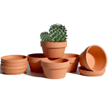 5.7 Inch Terracotta Shallow Succulent Pot - 6 Pack Terra Cotta Clay Pots with Saucer, Cacuts Terra-Cotta Indoor and
