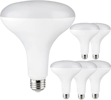 BR40 LED Light Bulb 13W (85W Equivalent) 1150 Lumens 2700K Warm White E26 Medium Base Dimmable Damp Rated Pack of 6