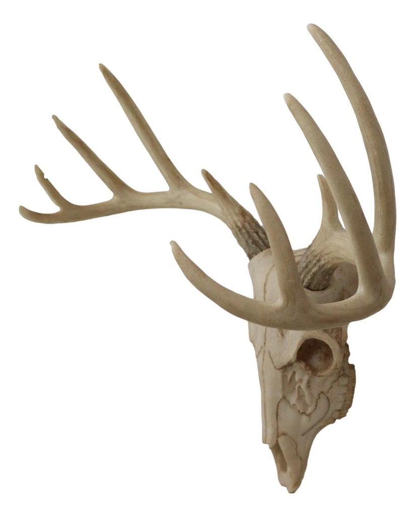 Rustic Hunter Deer 10 Point Buck Skull Trophy Antlers Wall Mounted Plaque Decor Figurine 14.25" Long Hunter's Antler