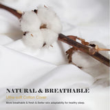 Organic Feathers Down Comforter Full, All Season Duvet Insert with 100% Organic Cotton Cover