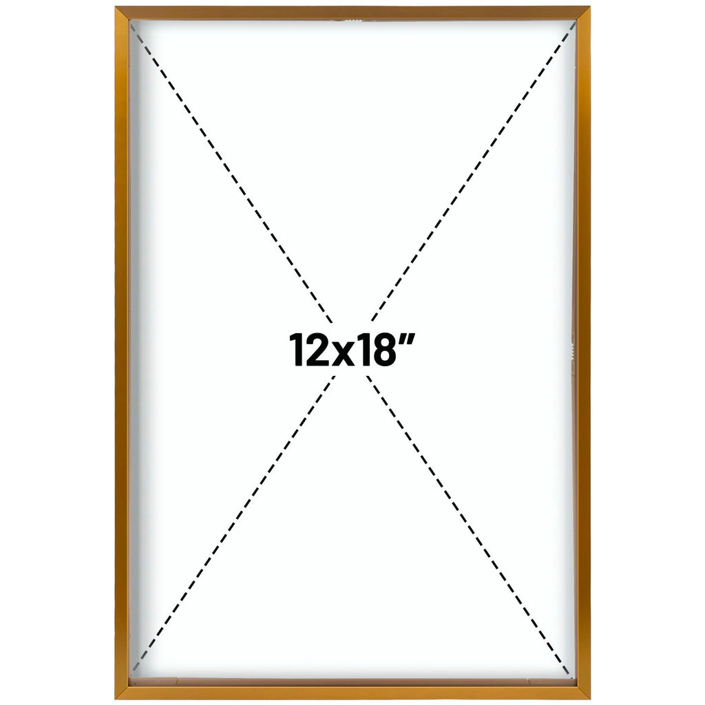 12x18 Bronze Aluminum Floating Picture Frame Real Glass