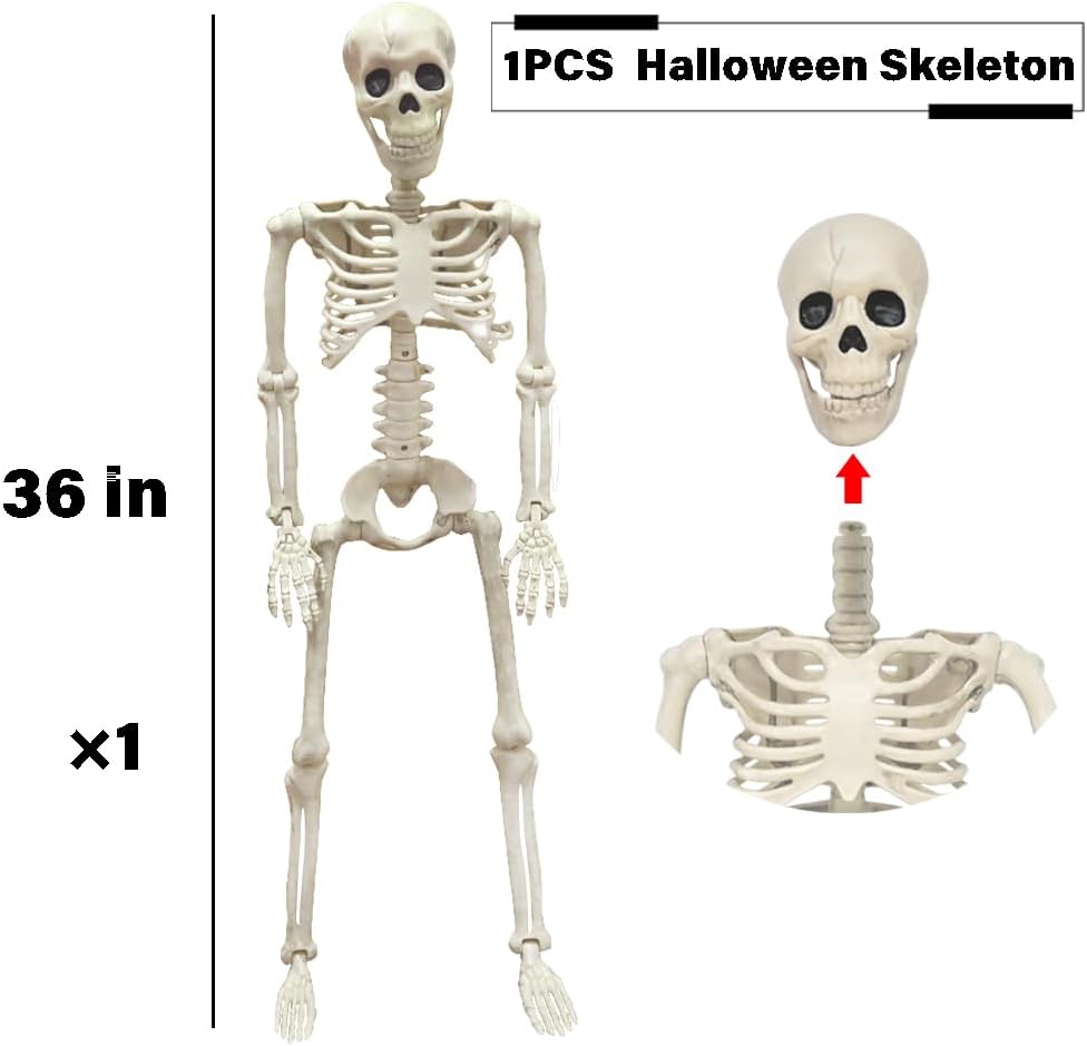 36" Skeleton Halloween Decorations, 3FT Realistic Full Body Movable Posable Joints Skeleton, Creepy Halloween Plastic