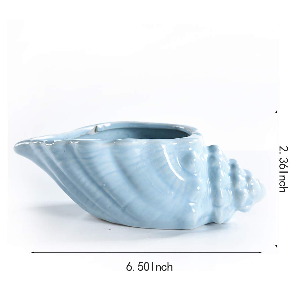 5.5" Conch Shell Succulent Pots, Ceramic Ocean Planters with Hole, 4 Pack