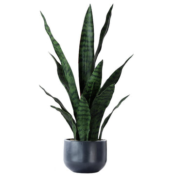Artificial Plants Sansevieria Snake Plant with Black Plastic Planter Greenery Perfect Faux Agave Fake Plants in Pot