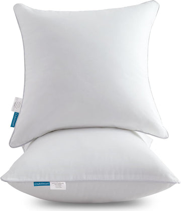 22 x 22 Throw Pillow Inserts () with 100% Cotton Cover - 22 Inch Square Interior Sofa Decorative Pillow - Set of 2