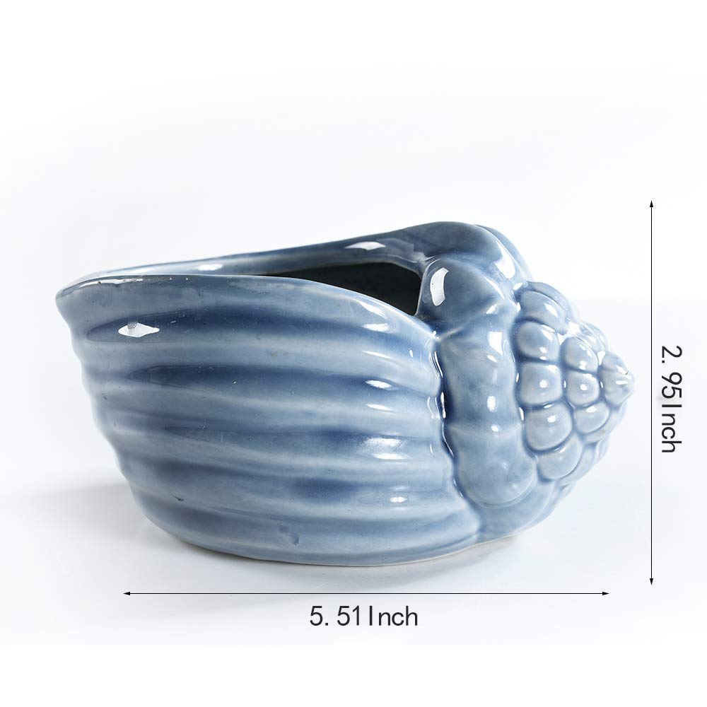 5.5" Conch Shell Succulent Pots, Ceramic Ocean Planters with Hole, 4 Pack