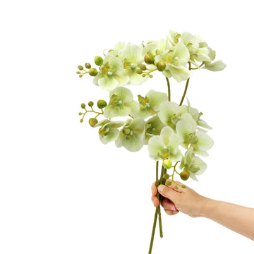 4-Pcs Artificial Real Touch Latex Phalaenopsis 17.7inch Artificial Orchid Stem Bouquets for Wedding Party Home Garden
