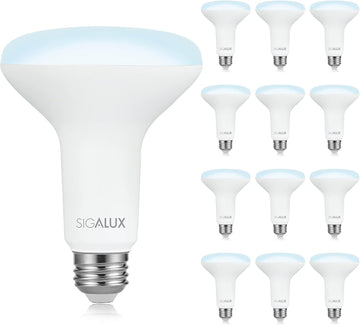 LED Flood Lights Indoor, BR30 LED Bulb 100W Equivalent, Dimmable Recessed Light Bulbs 5000K Daylight Can Light Bulbs