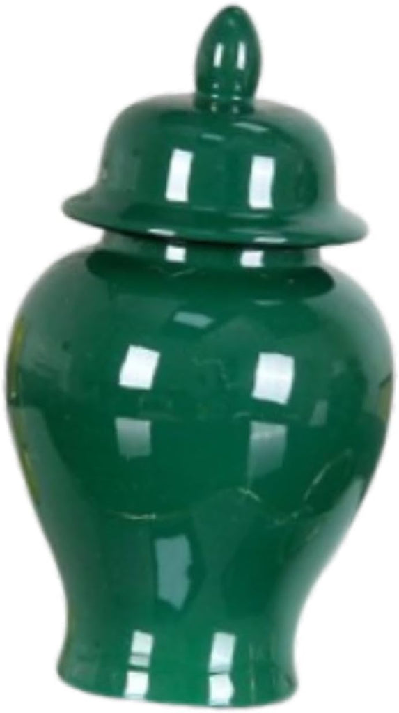 Porcelain Ginger Jar Storage Tank Ceramic Vase for Arrangement Collection