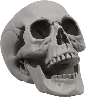 Life Size Skeleton Skull for Halloween Decor Graveyard Outdoor White