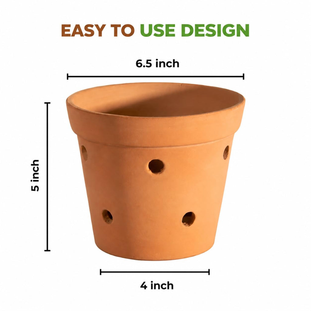 Handmade Terracotta Orchid Pot|Pack of 1|Height - 5 Inch