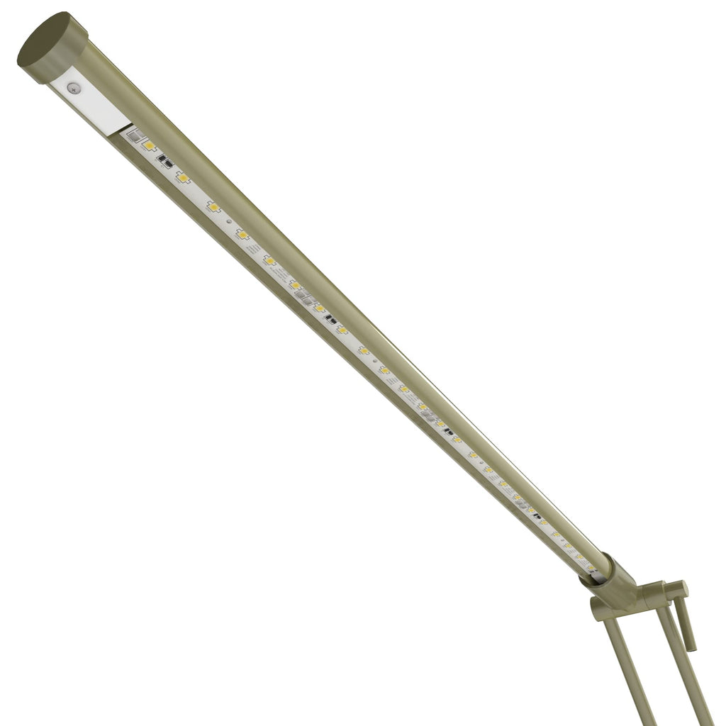 High Powered, dimmable, LED Floor Lamp - Fled-GPS (Antique Brass)