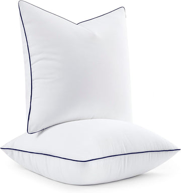 20x20 Pillow Inserts, Fluffy Down Alternative Filling - Set of 2