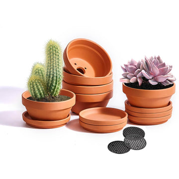5 Inch Shallow Terracotta Pot for Succulent - 6 Pcs Small Shallow Plant Pots with Drainage Hole and Saucer Mesh Pad